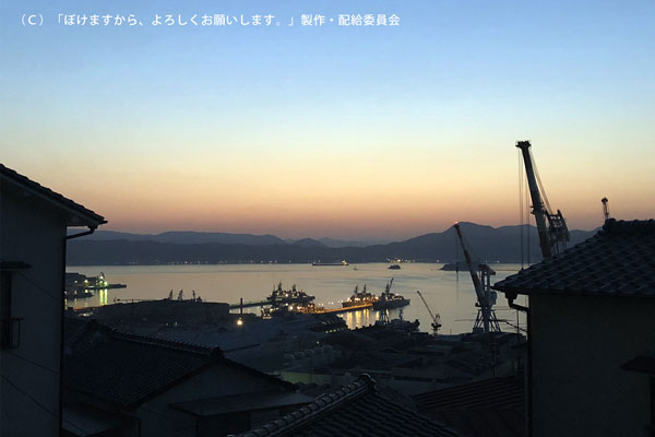 ぼけますから、よろしくお願いします。